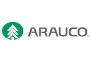 Arauco Arauco